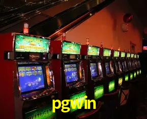 Platform Technology pgwin